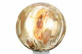 Colorful Petrified Wood (Araucaria) Sphere - Madagascar #245549-1